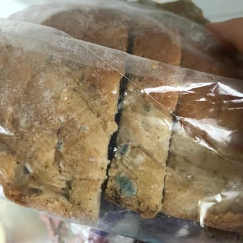 Hakmar Gıda Küflenmiş Ekmek Hayal Kırıklığı