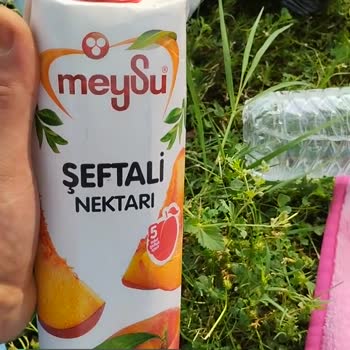 Meysu Tarihi Yazıyor Ama Bozulmuş, İki Tane Kızım Zehirlendi Ve Kustu!