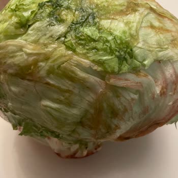 Yemeksepeti Aldığımız Sebze Ve Meyveler Çürük Çıktı
