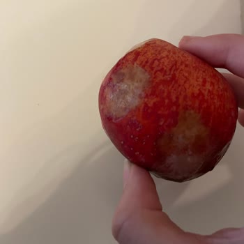 Yemeksepeti Aldığımız Sebze Ve Meyveler Çürük Çıktı