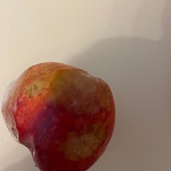 Yemeksepeti Aldığımız Sebze Ve Meyveler Çürük Çıktı