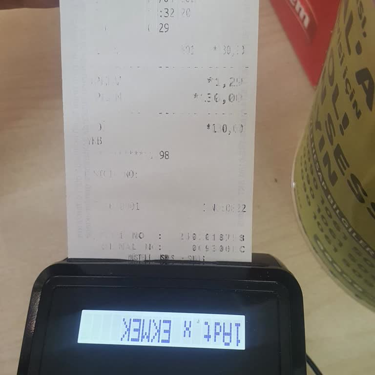 Worldline İngenico Pos Çabuk Bozuluyor