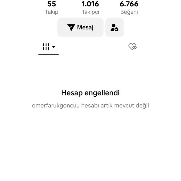 TikTok Lütfen Geri Verin