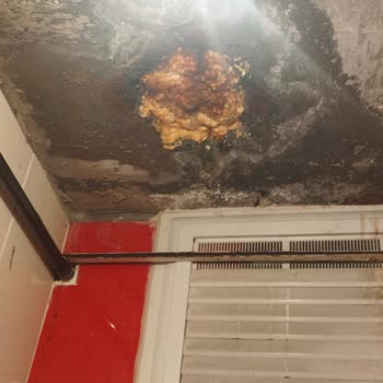 İBB - İstanbul Büyükşehir Belediyesi Dairemizin Üst Kat Komşun