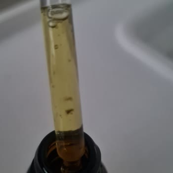 Orzax Ocean D3 K2 Küflendi.