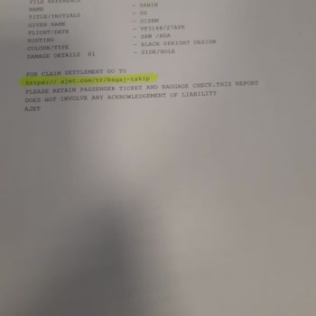 Ajet Kırdıkları Bagajı Karşılamadı