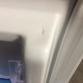 Vestel Buzdolabının Kapağında Boya Kusması