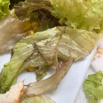 Macaroni Restaurant Çürük Sebze Ve Yeşillikler
