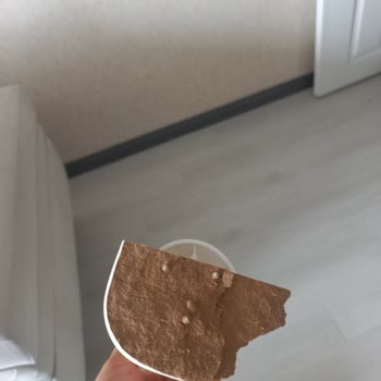 Lake Mobilya Orta Ve Zigon Sehpa