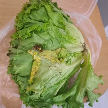 Carrefour SA Bozuk Ürün Gönderilmesi