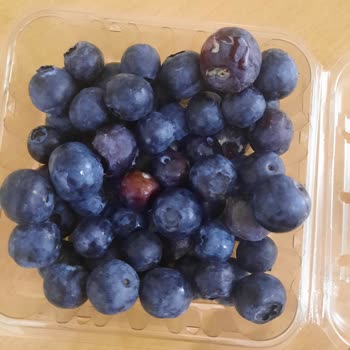 Carrefour SA Bozuk Ürün Gönderilmesi