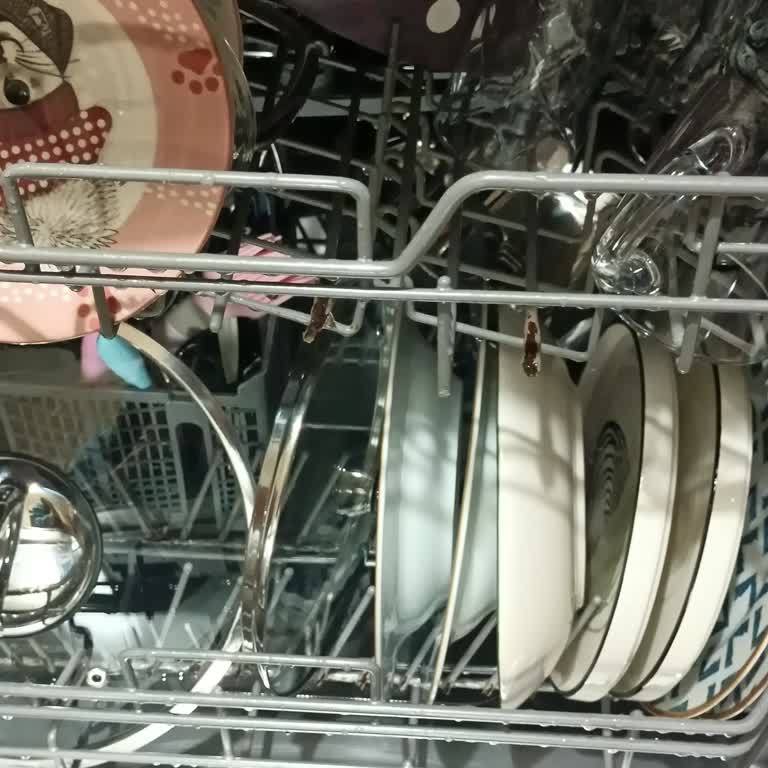 Samsung Bulaşık Makinesi Sepetleri Paslandı