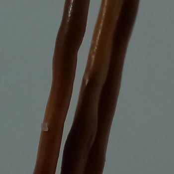 Ülker Yanmış Çubuk Kraker