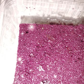 BİM Kadife Tatlısı Küflü Çıktı
