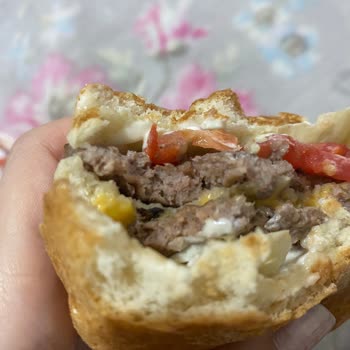 Yemeksepeti Yemek Sepetindeki Burger Siparişinde Sinek Çıktı İlgilenilmedi