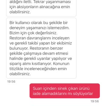 Yemeksepeti Yemek Sepetindeki Burger Siparişinde Sinek Çıktı İlgilenilmedi