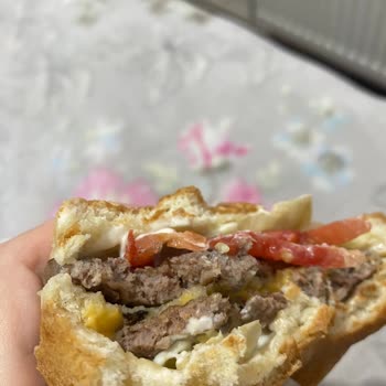 Yemeksepeti Yemek Sepetindeki Burger Siparişinde Sinek Çıktı İlgilenilmedi