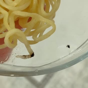 indomie BİM'den Aldığım Noodle'da Şaşırtan Siyah Lekeler!