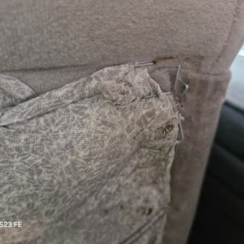 Cardin Sorunlu Koltuk Takımı!