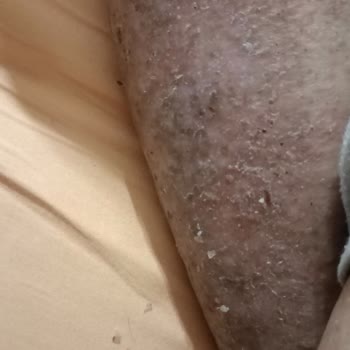 Özel Diva Yaşlı Bakım Merkezi Bakım Değil Bakımsızlık Merkezi!