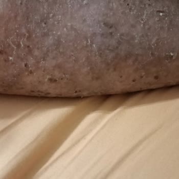 Özel Diva Yaşlı Bakım Merkezi Bakım Değil Bakımsızlık Merkezi!