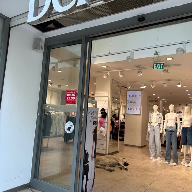 DeFacto Başıboş Köpek Sorunu