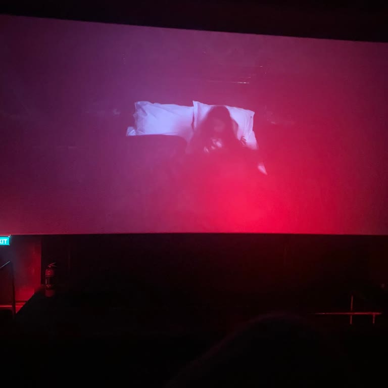 Avşar Sinemaları Ekran Kalitesizliği Problemi