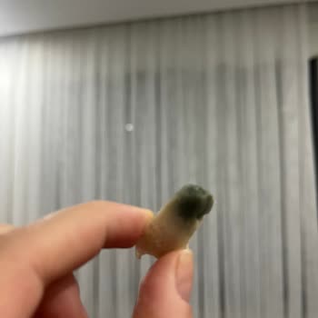 Lezitanın Küflü Izgara Filetosu