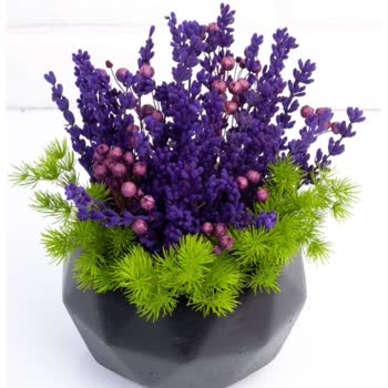 ÇiçekSepeti Görseldeki Üründen Alakasız Bir Ürün Geldi İlgilenmiyorlar