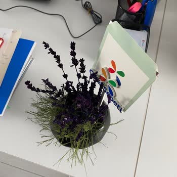 ÇiçekSepeti Görseldeki Üründen Alakasız Bir Ürün Geldi İlgilenmiyorlar