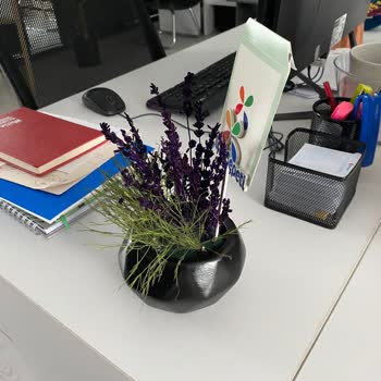 ÇiçekSepeti Görseldeki Üründen Alakasız Bir Ürün Geldi İlgilenmiyorlar