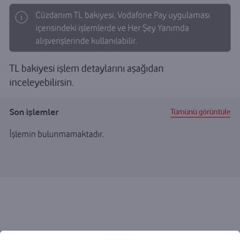 Vodafone Pay Bütçe Dostu Tarife 100 TL İade Kampanyası Kod Hatası