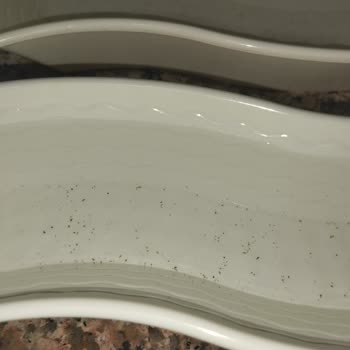 İdeal Su 19 Litre İçerisindeki Parçacıklar.