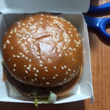 McDonald's Tiny Fries & Missing Big Mac!