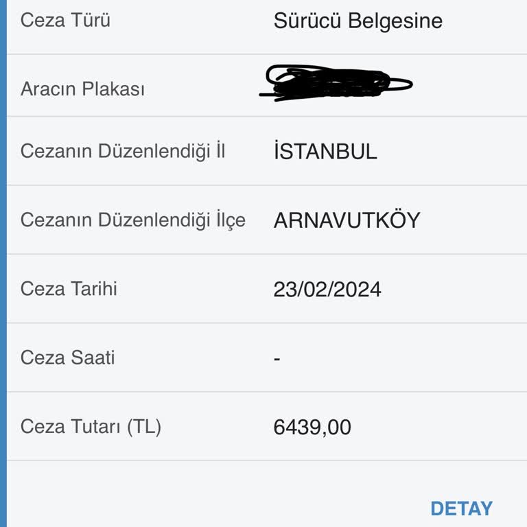 E-Devlet (Turkiye.gov.tr) Trafik Cezası Yedim 2 Ay Oldu Ama Faiz Binmemiş Gözüküyor