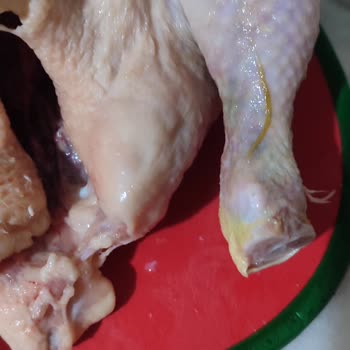 Gedik Piliç Taze Beklentisi Hayal Kırıklığına Dönüştü