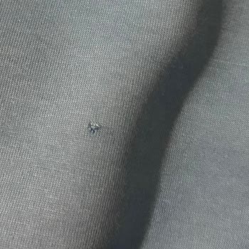 Adidas Kıyafet Yırtık Defo