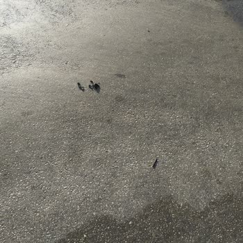 Güney Akdeniz Seyahat Yanlış Yerde İndirip Valizime Zarar Verildi