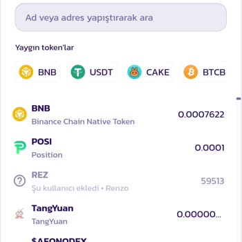 Pancakeswap Ve Binance Güven Sorunu