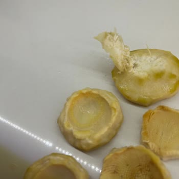 Burcu Gıda Kılçık Dolu Enginar Konserve!