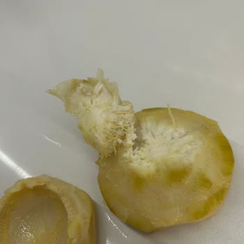 Burcu Gıda Kılçık Dolu Enginar Konserve!