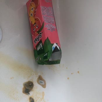 İçim Meyve Suyunun İçerisinden Çıkan Küflü Yabancı Madde