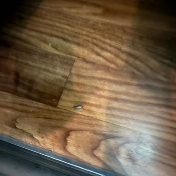 Villa Seyahat Turizm Böcekli Araç