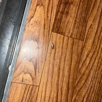 Villa Seyahat Turizm Böcekli Araç