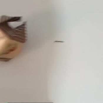 Ödül Çikolatadan Tel Çıktı!