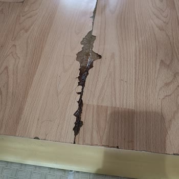 Türkiye Sigorta Dan Şikayetçiyim Hasarımı Karşılamıyor