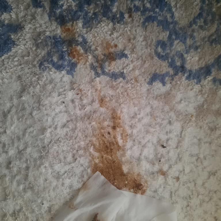 Whiskas Yaş Mama Sorunu