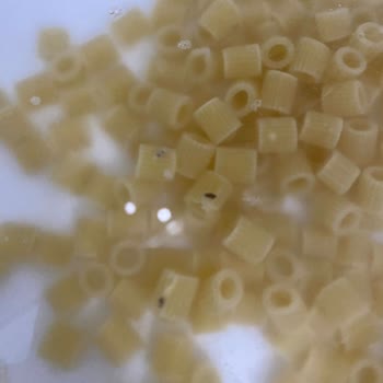 Mutlu Makarna Böceklenmiş Mutlu Makarnadan Tiksindik!
