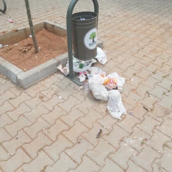 Şehitkamil Belediyesi Şehir Parkındaki Çöp Sorununa Dikkat Çekiliyor