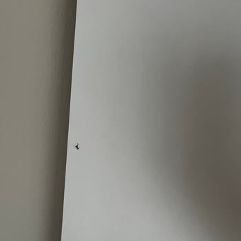 A101 Uzun Teslimat Süresi Ve Kusurlu Ürün Hayal Kırıklığı